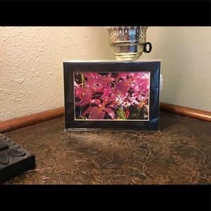 Dancing Ladies, Keanu Malone